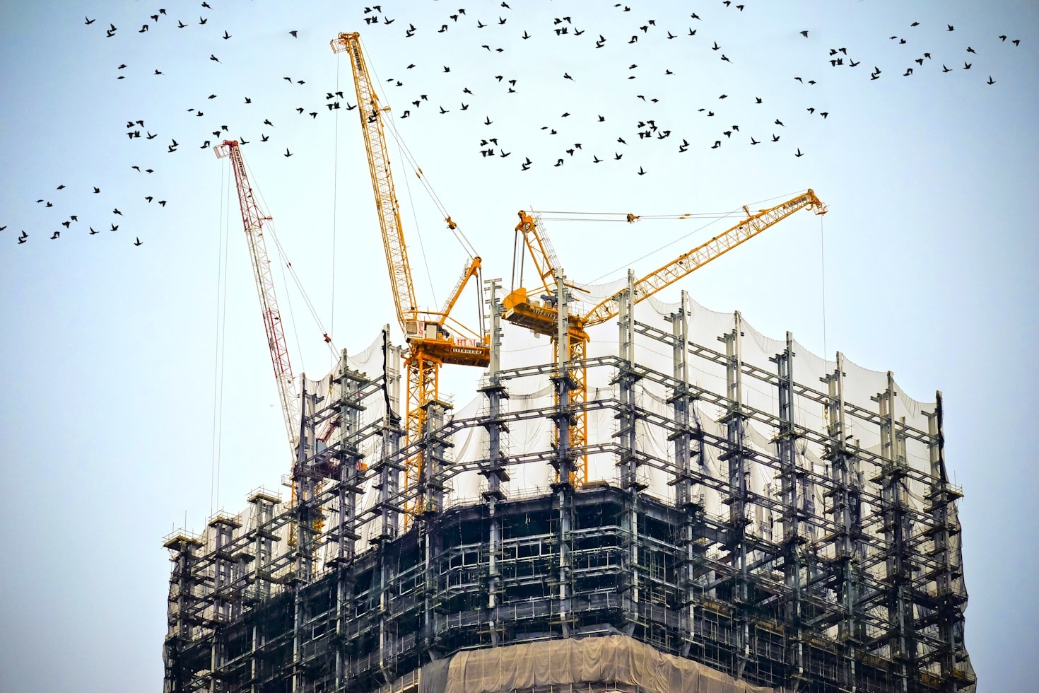 The Role of Innovation in Modern Construction